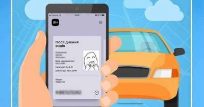 Рада приравняла водительские права в приложении "Дія" к бумажным - dsnews.ua