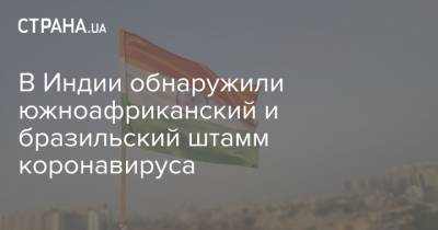 В Индии обнаружили южноафриканский и бразильский штамм коронавируса - strana.ua - Англия - Бразилия - Индия - Юар