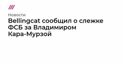 Алексей Навальный - Михаил Фишман - Христо Грозев - Bellingcat сообщил о слежке ФСБ за Владимиром Кара-Мурзой - tvrain.ru