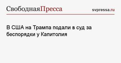 Дональд Трамп - В США на Трампа подали в суд за беспорядки у Капитолия - svpressa.ru - США