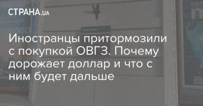 Иностранцы притормозили с покупкой ОВГЗ. Почему дорожает доллар и что с ним будет дальше - strana.ua - США