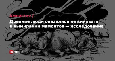 Амнистия. Древние люди оказались не виноваты в вымирании мамонтов — исследование - nv.ua - США