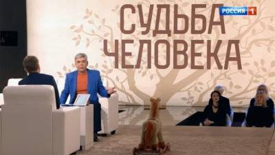 Борис Корчевников - Звезда "Цыгана" Никульников рассказал о переживаниях после смерти сына - nation-news.ru