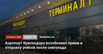 Аэропорт Краснодара возобновил прием и отправку рейсов после снегопада - kubnews.ru - Краснодарский край - Краснодар