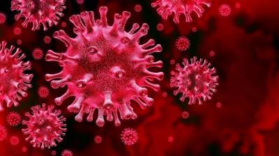 Дональд Трамп - В Чехии назвали коронавирус «биологическим оружием Китая» - 5-tv.ru - Китай - США - Чехия - Прага