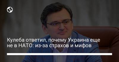 Владимир Зеленский - Дмитрий Кулеба - Джо Байден - Кулеба ответил, почему Украина еще не в НАТО: из-за страхов и мифов - liga.net - США
