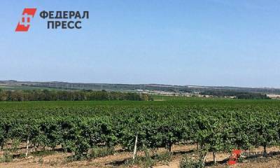 Абрамович собирается инвестировать в гостиничный бизнес в Геленджике - fedpress.ru - Москва - Краснодарский край - Геленджик - республика Карелия