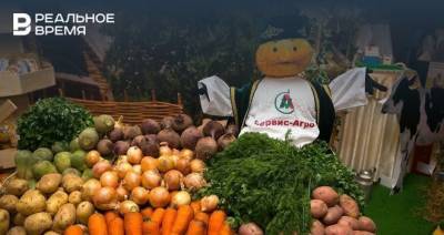 Роман Хасаев - В России подорожали более чем на треть морковь и картофель - realnoevremya.ru