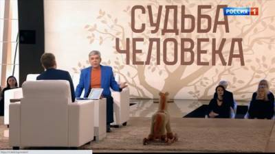 Борис Корчевников - Звезда "Цыгана" Алексей Никульников в детстве едва не утонул в водовороте - newinform.com