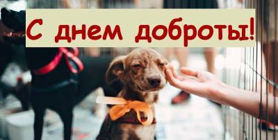 День спонтанного проявления доброты 17 февраля - открытки, картинки, поздравления - ТЕЛЕГРАФ - telegraf.com.ua - США