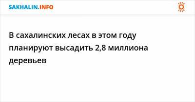 В сахалинских лесах в этом году планируют высадить 2,8 миллиона деревьев - sakhalin.info - Сахалинская обл. - Холмск