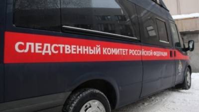 Стали известны подробности об убийстве студента в Новосибирске - politros.com - Новосибирск