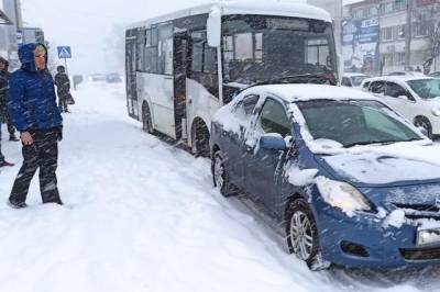 Картина дня в Хабкрае: последствия циклона и нарушения в школьном питании - hab.aif.ru - Хабаровский край - Хабаровск