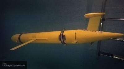 Майкл Пек - Россия создает подводные беспилотники для охоты на субмарины США - newinform.com - США