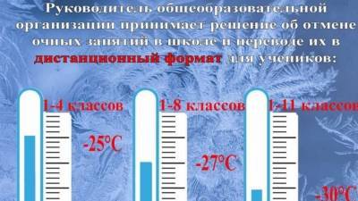 Занятия в ряде самарских школ отменили из-за морозов - riafan.ru - Самара - Самарская обл.