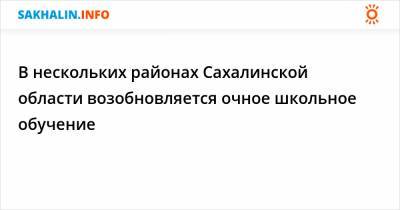 В нескольких районах Сахалинской области возобновляется очное школьное обучение - sakhalin.info - Сахалинская обл. - Сахалинск - Южно-Сахалинск - Холмск - Первомайск