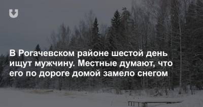 В Рогачевском районе шестой день ищут мужчину. Местные думают, что его по дороге домой замело снегом - news.tut.by