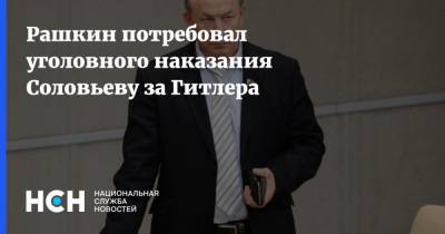 Владимир Соловьев - Адольф Гитлер - Валерий Рашкин - Игорь Краснов - Рашкин потребовал уголовного наказания Соловьеву за Гитлера - nsn.fm