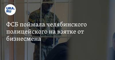 ФСБ поймала челябинского полицейского на взятке от бизнесмена - ura.news - Челябинская обл. - Магнитогорск