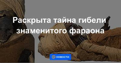 Раскрыта тайна гибели знаменитого фараона - news.mail.ru - Египет - Каир - county Frontier