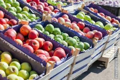 В Украине начнут дорожать качественные яблоки - inform-ua.info