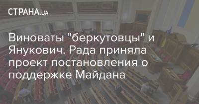 Виноваты "беркутовцы" и Янукович. Рада приняла проект постановления о поддержке Майдана - strana.ua - Украина