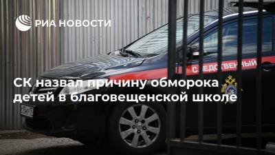 Олег Имамеев - СК назвал причину обморока детей в благовещенской школе - ria.ru - Амурская обл. - Благовещенск