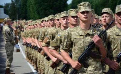 Владимир Зеленский - В Украине предложили ввести новый вид военной службы - enovosty.com
