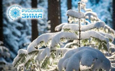 Стихи о зиме в исполнении жителей Кипра - vkcyprus.com - Кипр