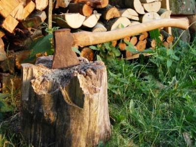 Иркутским депутатам пришлось дважды голосовать, чтобы продавить электронное и трехдневное голосование - rosbalt.ru - Иркутская обл.