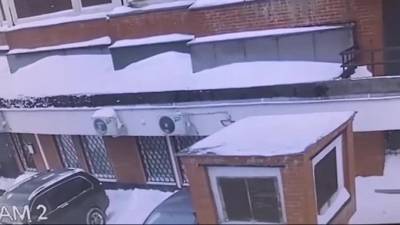 Момент падения школьницы на автомобиль с многоэтажки попал на видео - piter.tv - Москва
