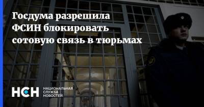 Госдума разрешила ФСИН блокировать сотовую связь в тюрьмах - nsn.fm