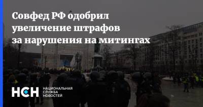 Совфед РФ одобрил увеличение штрафов за нарушения на митингах - nsn.fm