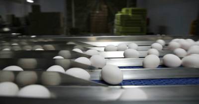 Андрей Карпов - Эксперт назвал неизбежным рост цен на яйца и птицу - ren.tv