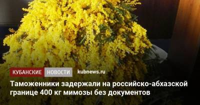 Таможенники задержали на российско-абхазской границе 400 кг мимозы без документов - kubnews.ru - Сочи - Апсны - Адлер