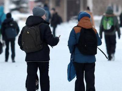 Учиться или не учиться? Школам, в которых каникулы не начались, рекомендуют отменить уроки - ulpravda.ru - Ульяновск - Ульяновская