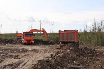 Две незаконный свалки возле поселка Шушары ликвидируют в 2021 году - abnews.ru - Шушары - район Пушкинский