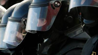 Ирина Волк - В МВД РФ считают недопустимым привлечение детей к имитациям митингов - 5-tv.ru - Россия - Нижневартовск