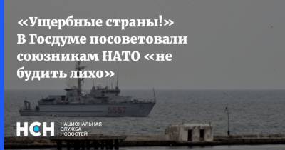 Александр Шерин - «Ущербные страны!» В Госдуме посоветовали союзникам НАТО «не будить лихо» - nsn.fm - Россия