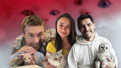 Тина Кароль - День кота: какие украинские звезды являются страстными кошатниками - 24tv.ua