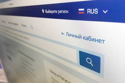 Мошенники научились воровать персональные данные под видом «Госуслуг» - chita.ru