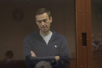Алексей Навальный - Ив Роше - ЕСПЧ потребовал от России немедленно освободить Навального - mk.ru