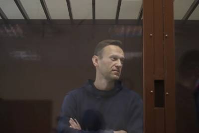 Алексей Навальный - Ольга Михайлова - ЕСПЧ потребовал от России немедленно освободить Алексея Навального - znak.com
