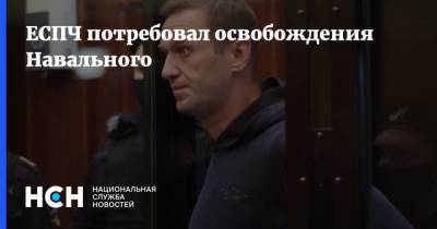 Алексей Навальный - Ольга Михайлова - ЕСПЧ потребовал освобождения Навального - nsn.fm