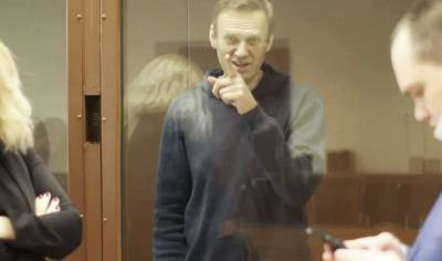 Алексей Навальный - Ольга Михайлова - ЕСПЧ требует немедленно освободить Навального - readovka.ru