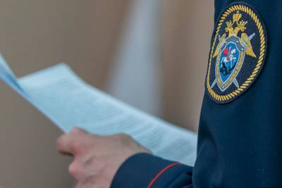 Александр Бастрыкин - В следственном комитете появилось поисковое движение - tambov.mk.ru