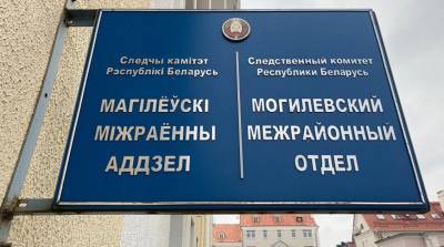 Начальник отдела могилевской фирмы подозревается в мошенничестве - belta.by