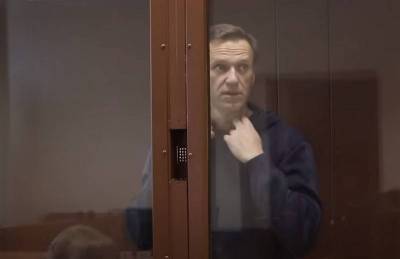 Алексей Навальный - Ольга Михайлова - Европейский суд по правам человека призвал Россию немедленно освободить Навального - topwar.ru