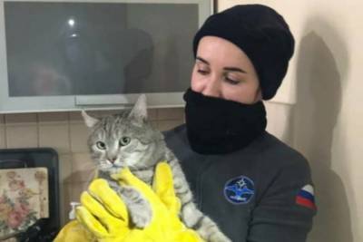 Столичные спасатели вытащили кота, застрявшего между трубами - m24.ru - Москва
