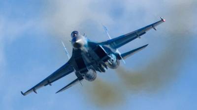 Истребители ВКС РФ перехватили группу французских самолетов над Черным морем - politros.com - Черное Море